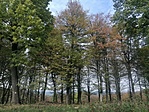 IMG_20221015_115917