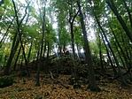 IMG_20221015_121923