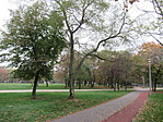IMG_2863