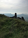 IMG_7334