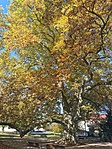 IMG_20221027_105141