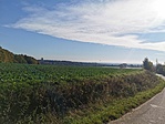 IMG_20221027_111619