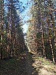 IMG_20221027_133312