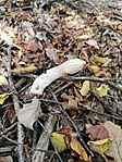 IMG_20221027_142408