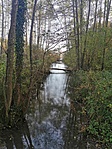 IMG_20221027_150204