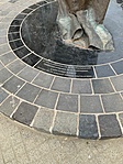 IMG_0957