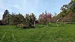 IMG_20221016_123844