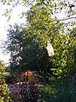 IMG_20221004_092755