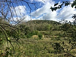 IMG_0903