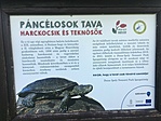 IMG_0904