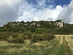 IMG_0933