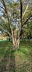 IMG20221007165700