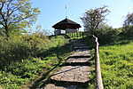IMG_3357