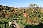 IMG_3358
