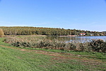 IMG_3334