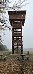IMG20221030084536
