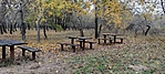 IMG20221030084912