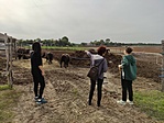 IMG_20221008_142139