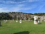 IMG_20221007_104810