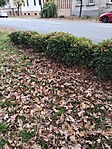 IMG_20221106_152533