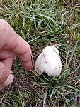 IMG_20221112_081257