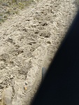 IMG_20221112_132953