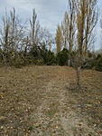 IMG_20221112_134140