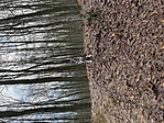369652C5-863A-482A-A9A9-26500D441C94