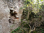 IMG_20221008_160450