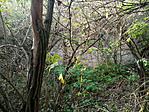 IMG_20221008_160452