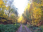 IMG_20221109_103325.jpg