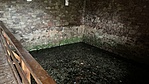 IMG_6888