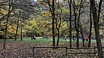 IMG_6857