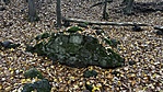 IMG_6862