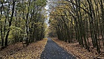 IMG_6864