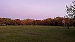 IMG_6792
