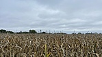 IMG_6322
