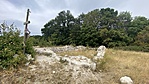 IMG_5149