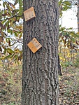 IMG_20221106_101927