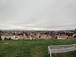 IMG_9019