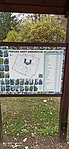 IMG_20221127_124416