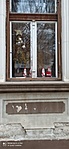 IMG_20221127_124641