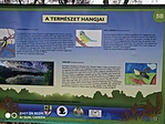 IMG_20221130_083057