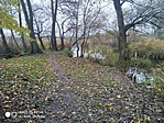 IMG_20221130_082756