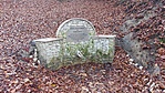 A forrás