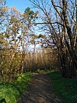 IMG_20221108_131541