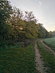 IMG_20221026_075011