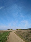 IMG_20221026_100528