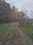 IMG_20221115_094119