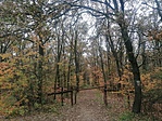 IMG_20221029_121143